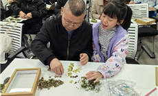 九林语项目联合社区开展“重阳敬老·中医传承”活动